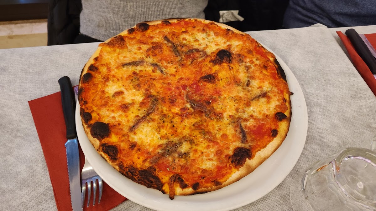 La Nuova Tartuga Photos 2